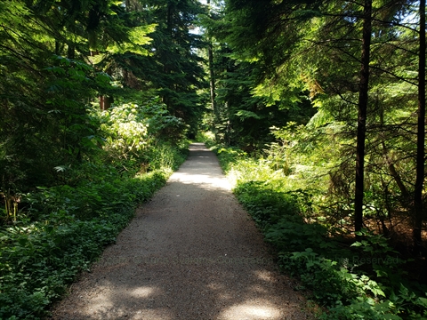 Lees Trail in Vancouver, BC, Canada