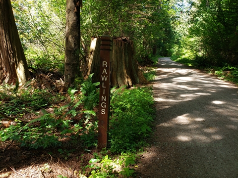 Rawlings Trail near Third Beach