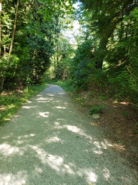 Kinglet Trail in Vancouver, BC, Canada