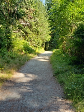 Mallard Trail in Vancouver, BC, Canada