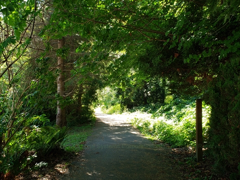 Brockton Oval Trail in Vancouver, BC, Canada