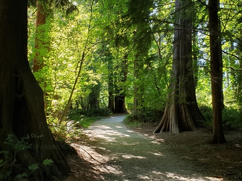 Brockton Point Trail in Vancouver, BC, Canada