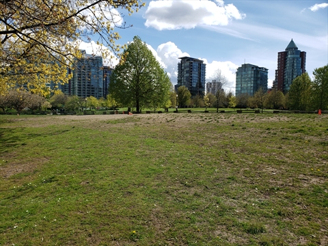 Off Leash Dog area in Coal Harbour, Vancouver, BC, Canada