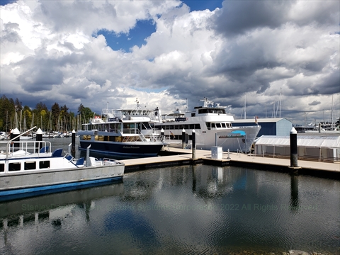 Harbour Cruises in Coal Harbour, Vancouver, BC, Canada