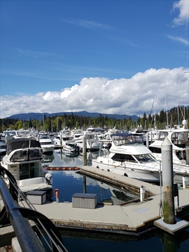 Bayshore West Marina in Coal Harbour, Vancouver, BC, Canada