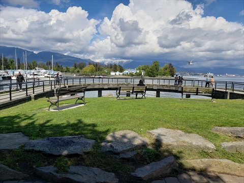 Cardero Park in Coal Harbour, Vancouver, BC, Canada