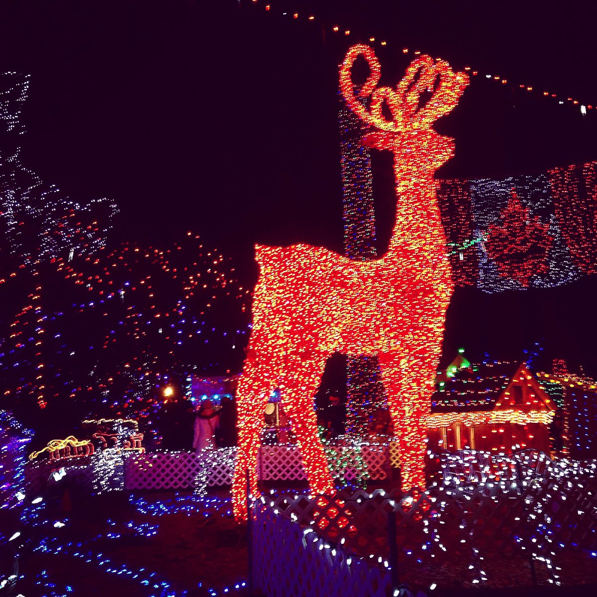 Bright Nights in Stanley Park, Vancouver, BC, Canada