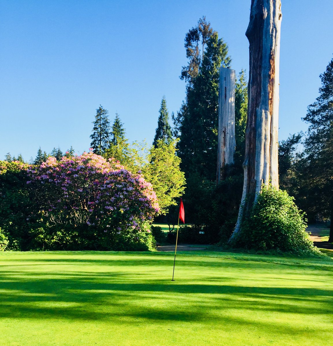 Stanley Park Pitch and Putt golf course in Stanley Park, Vancouver, BC, Canada