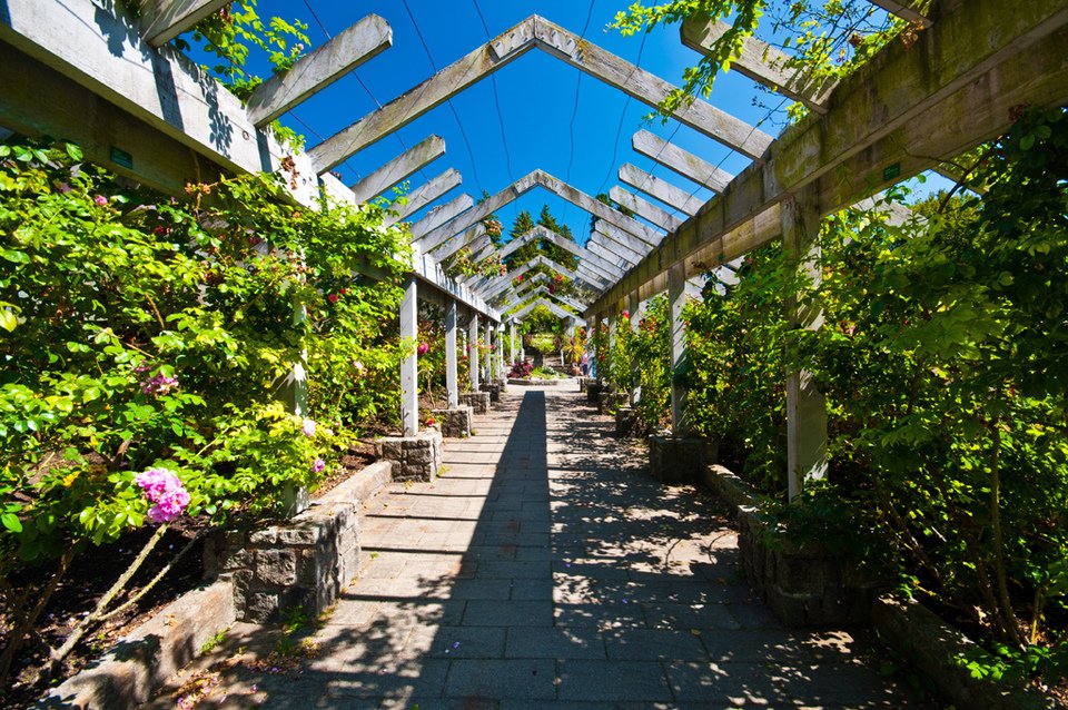 Rose Garden arbor in Stanley Park, Vancouver, BC, Canada