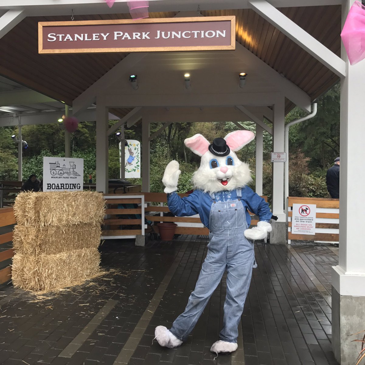 Easter Bunny in Stanley Park, Vancouver, BC, Canada