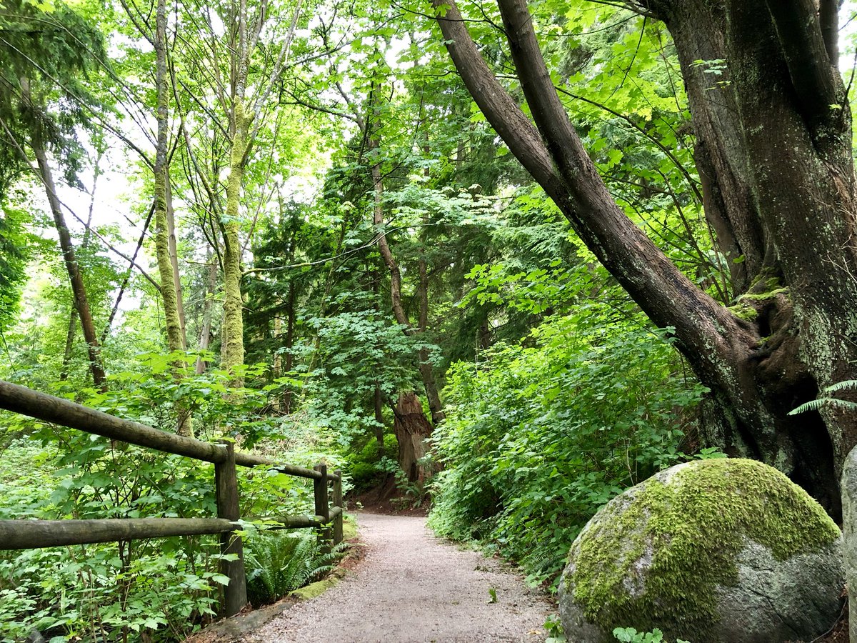 Trail in Stanley Park, Vancouver, BC, Canada