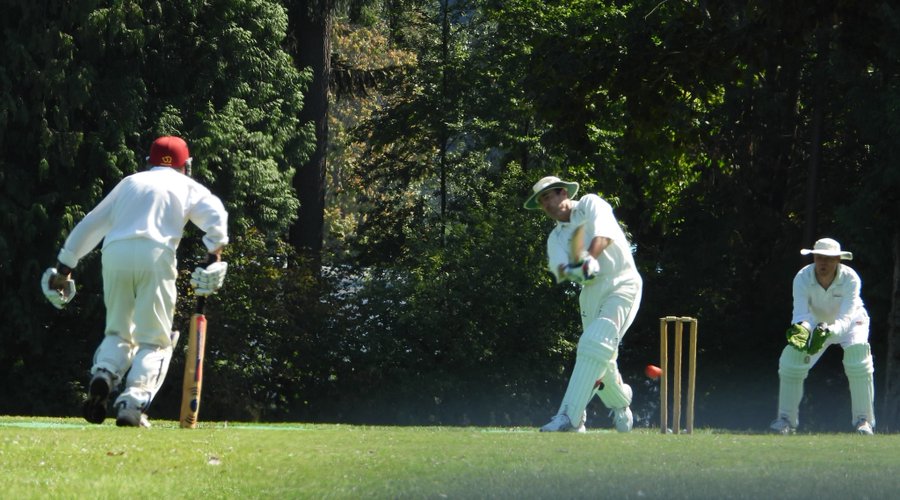 Cricket in Stanley Park, Vancouver, BC, Canada