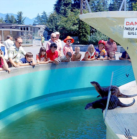 Stanley Park Zoo, Vancouver, BC, Canada